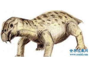 恐龙之前地球上的霸主水龙兽，原来是一头史前猪