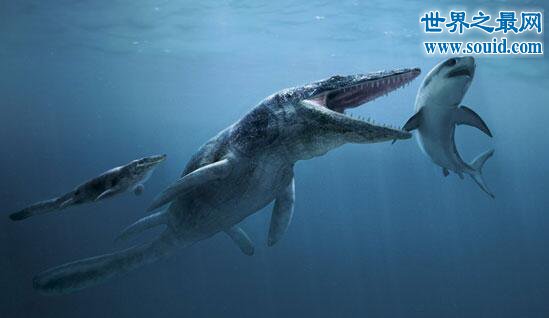 海王龙以恐龙为食，海洋中超恐怖无敌霸主