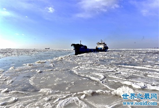 中国四大渔场 因为过度捕捞险些消失