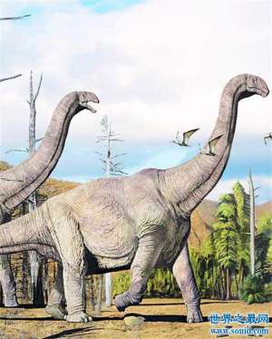 世界上最大的恐龙 第一名体积相当于40头大象