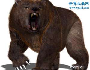 地球上体型最大的熊，巨型短面熊(重达3400斤)