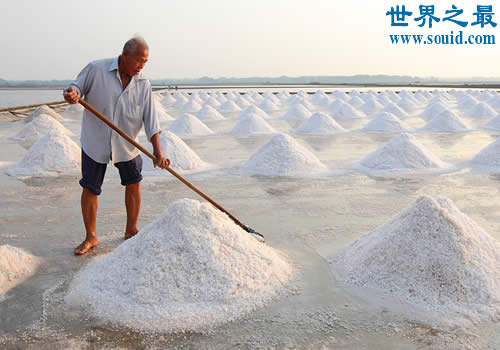 我国最大的盐场，长芦盐场(占中国总产量的25%)