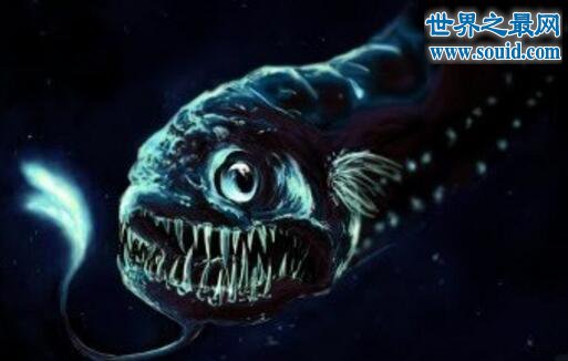 揭开深海龙鱼的真面目，满嘴獠牙置人于死地