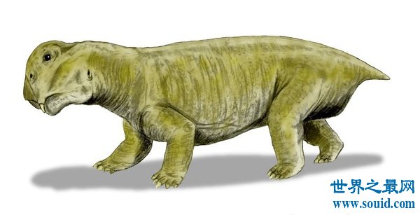恐龙之前地球上的霸主水龙兽，原来是一头史前猪
