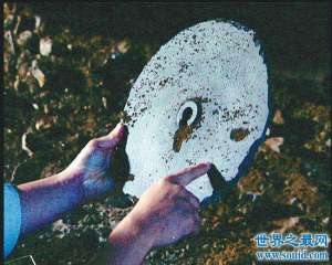 杜立巴石碟疑似外星人遗址，发现不少类似人类的骨头