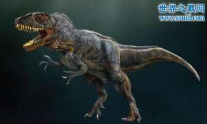世界上最大的食肉恐龙，鲨齿龙(放血能力极强)