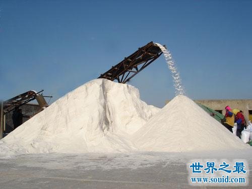 我国最大的盐场，长芦盐场(占中国总产量的25%)