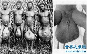 巨阴族生活在非洲原始部落 男性生殖器官达到30厘米