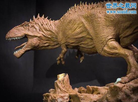 世界上最矮的食肉恐龙，巨兽龙(咬合力高达12吨)