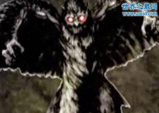神秘鸮人的真面目，形似猫头鹰的黑暗幽灵