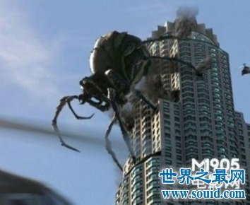吃人的变异巨型蜘蛛，高达十层楼高度的伪装者