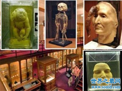 美国费城马特博物馆堪称恐怖天堂 收集畸形尸体闻名天下