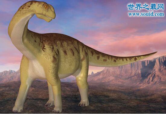 刚果恐龙，最后一只还没灭绝的恐龙(存活至今)