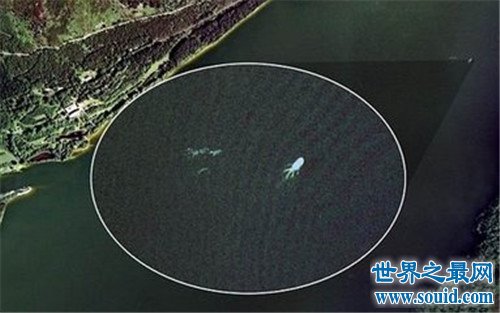 震惊！尼斯湖水怪真相终于要被揭露，再神秘也逃不过DNA