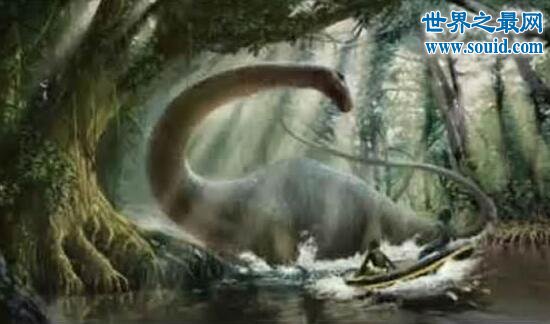 刚果恐龙，最后一只还没灭绝的恐龙(存活至今)