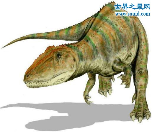 世界上最大的食肉恐龙，鲨齿龙(放血能力极强)