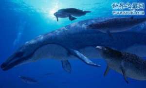 史前最大的掠食动物，伊西斯龙王鲸(大小鲨鱼通吃)