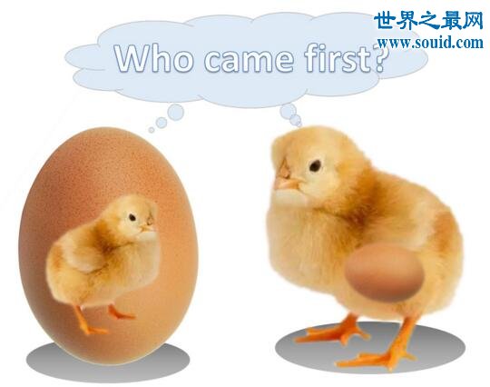 先有鸡还是先有蛋，世界级难题的终极答案揭秘