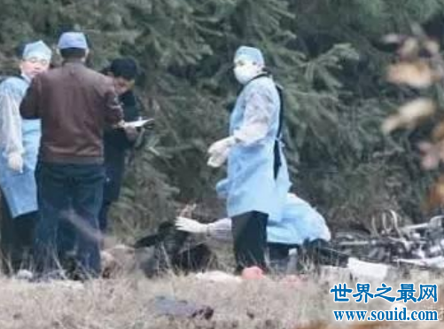 中国悬案排行榜，盘点至今未解的碎尸连环杀人案
