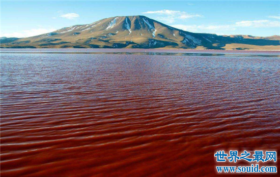 伊拉克血湖位于城市正中心，湖水的颜色成为未解之谜