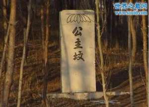 北京公主坟，公主坟的来历之谜真实原因
