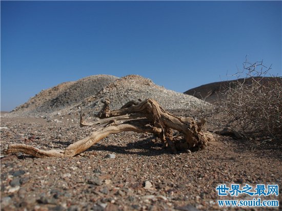 中国四大无人区 西藏羌塘并非荒无人烟