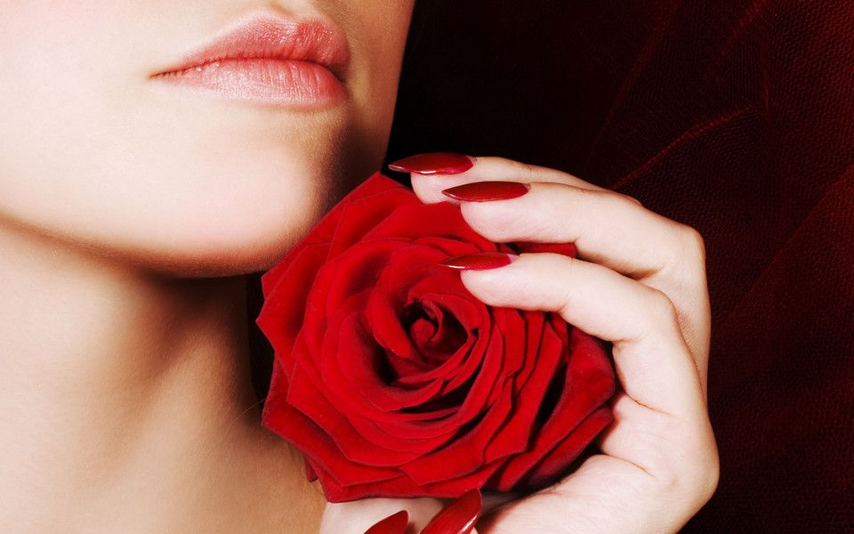 妖艳红玫瑰爱的告白壁纸