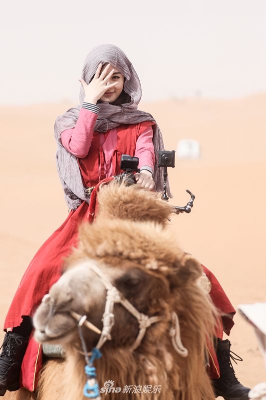 赵丽颖漫漫黄沙中悠哉骑骆驼 满脸笑容是挡不住的小太阳